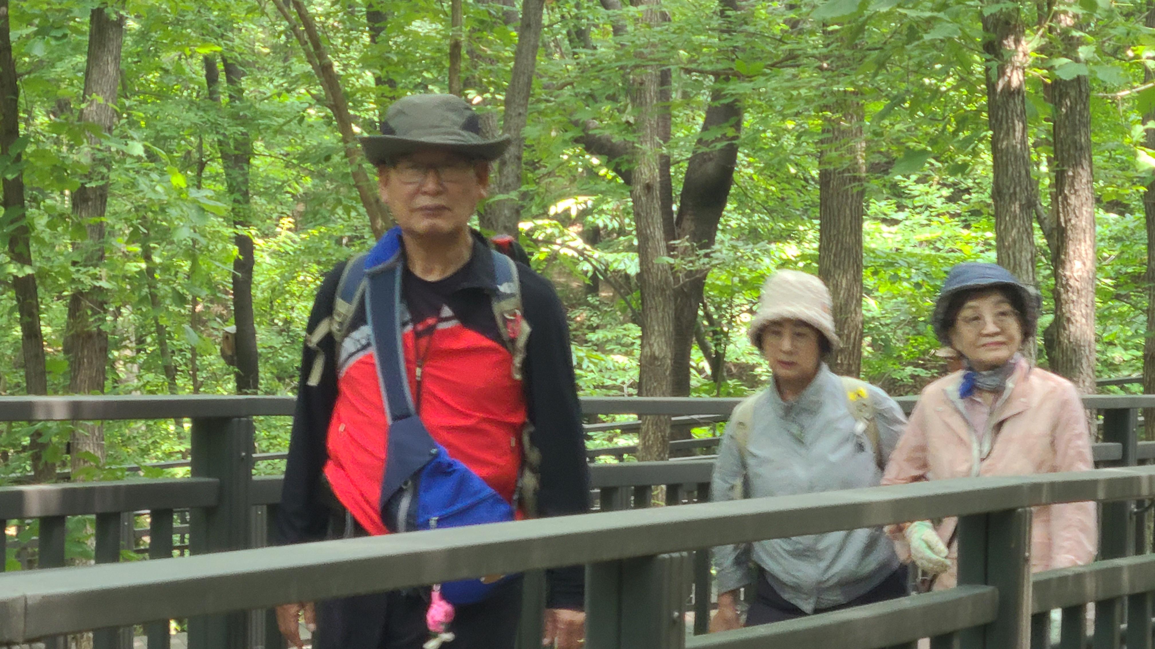 느티나무 5월산행.jpg