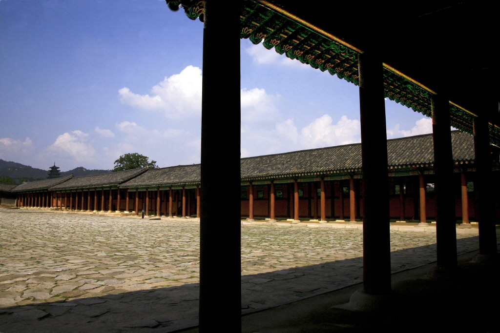 11성기호(1).jpg