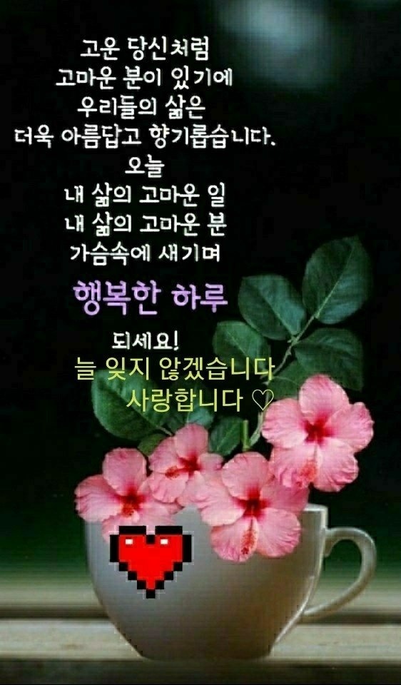 KakaoTalk_20210713_080734089.jpg