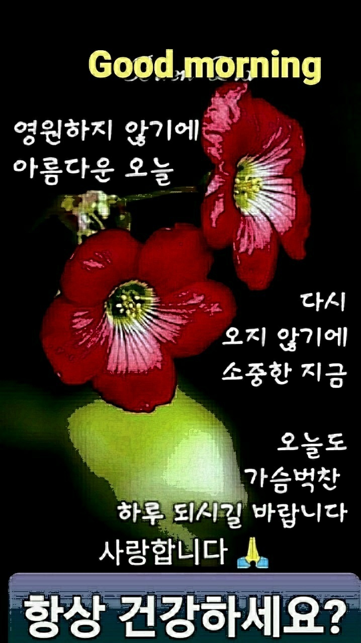 KakaoTalk_20220302_081919271.jpg