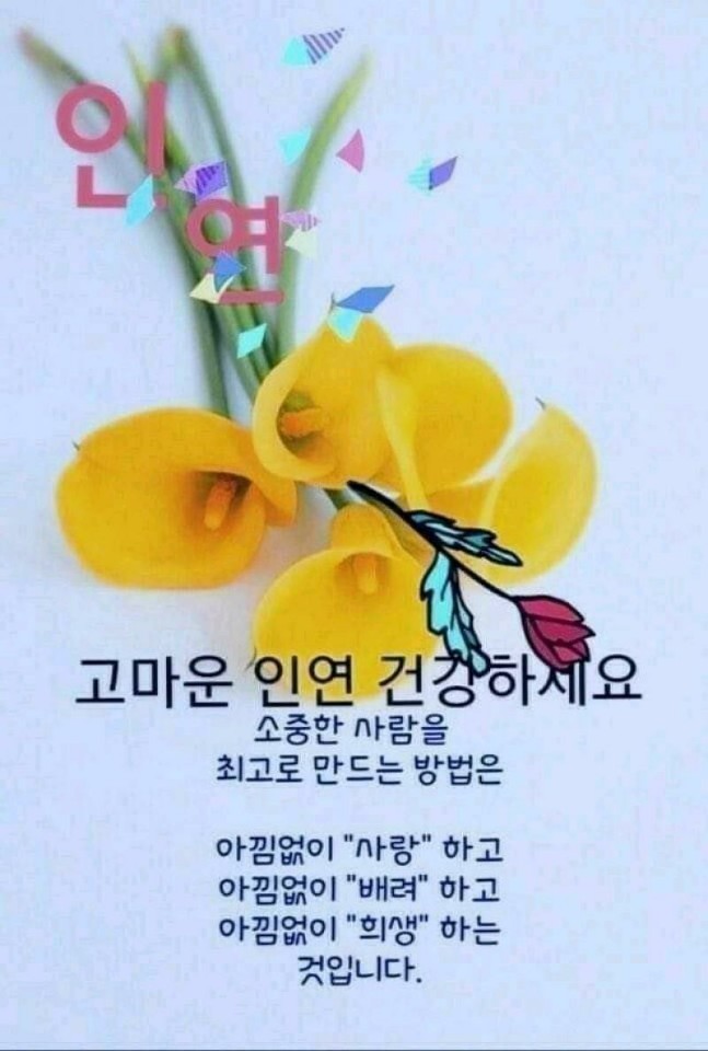KakaoTalk_20210513_062406325.jpg