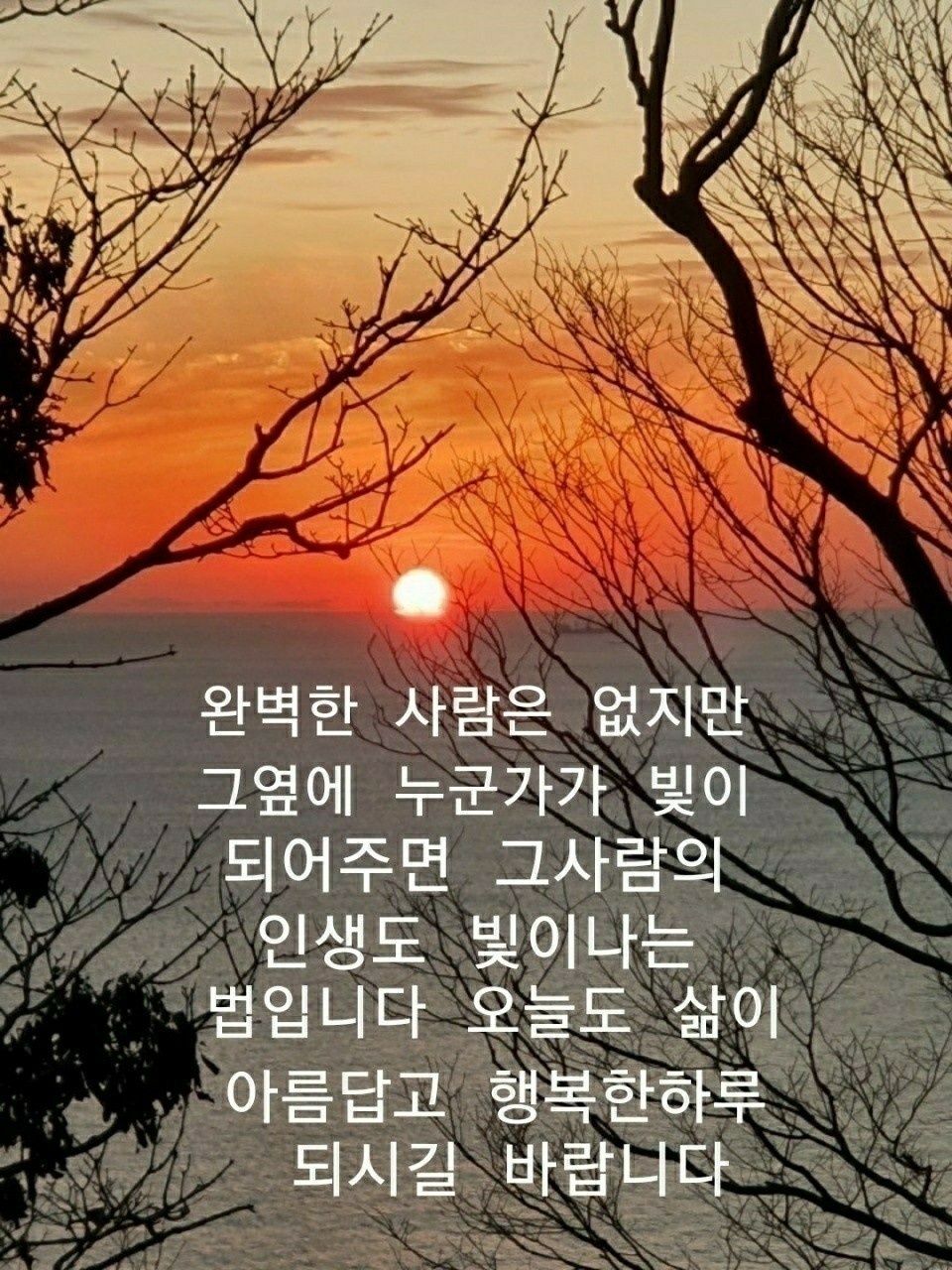 KakaoTalk_20220219_092918747.jpg