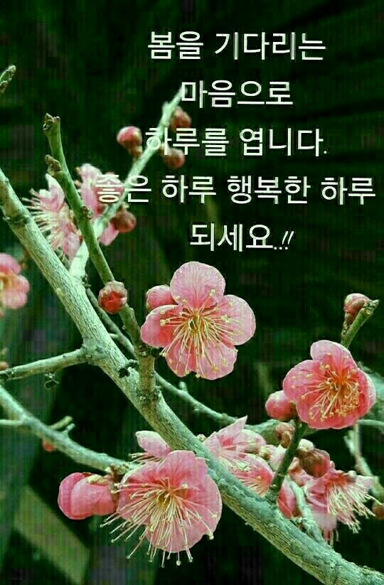 KakaoTalk_20220220_085218772.jpg