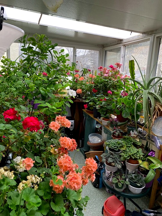 sunroom.JPG